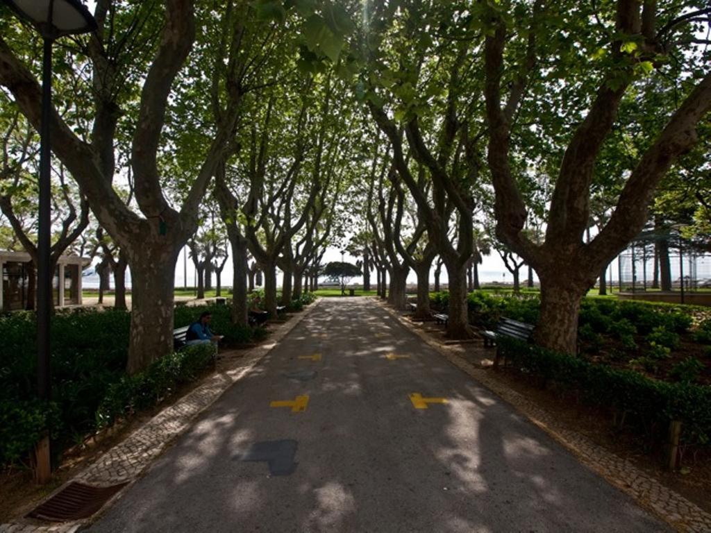 Apartamento 1 Quarto, Com Patio, Em Frente Praia パコ・デ・アルコス エクステリア 写真